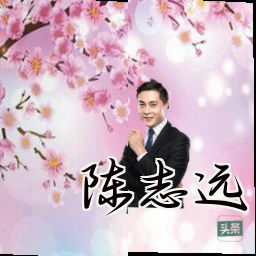 陈志远